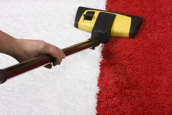 Professional carpet cleaning in Harvard, MA